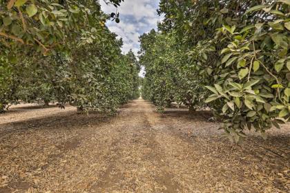 Sierra Nevada Mountain Retreat Set on Citrus Farm - image 5