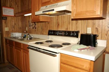 Carolina Landing Camping Resort Luxury Cabin 8 - image 6