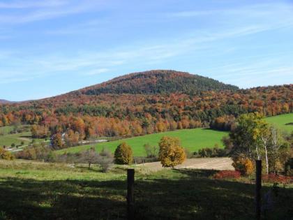 Inn at Buck Hollow Farm - image 11