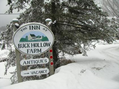 Inn at Buck Hollow Farm - image 12