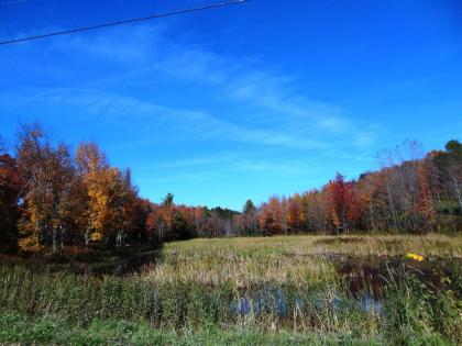 Inn at Buck Hollow Farm - image 13