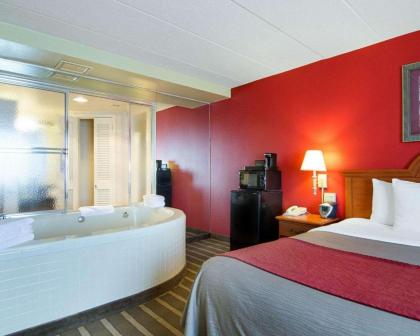 Comfort Inn University Center - image 3