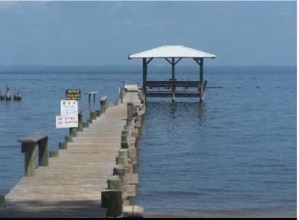 Magnolia Beach Inn - Fairhope - image 10