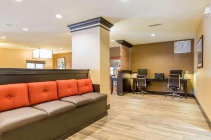 Comfort Suites Fairview Heights - image 9