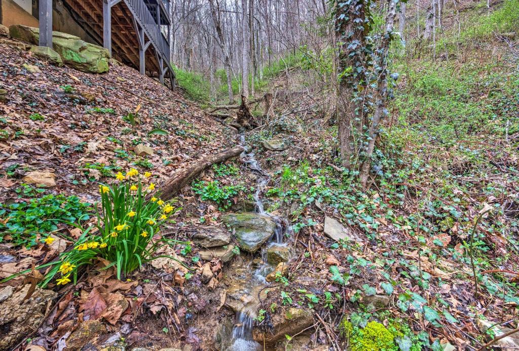 Pet-Friendly Cabin with Decks and Mountain Views! - image 3