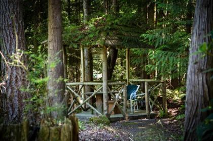 Tall Chief Camping Resort Yurt 5 - image 10