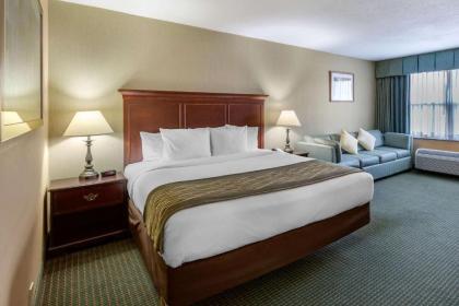 Clarion Inn Falls Church- Arlington - image 10