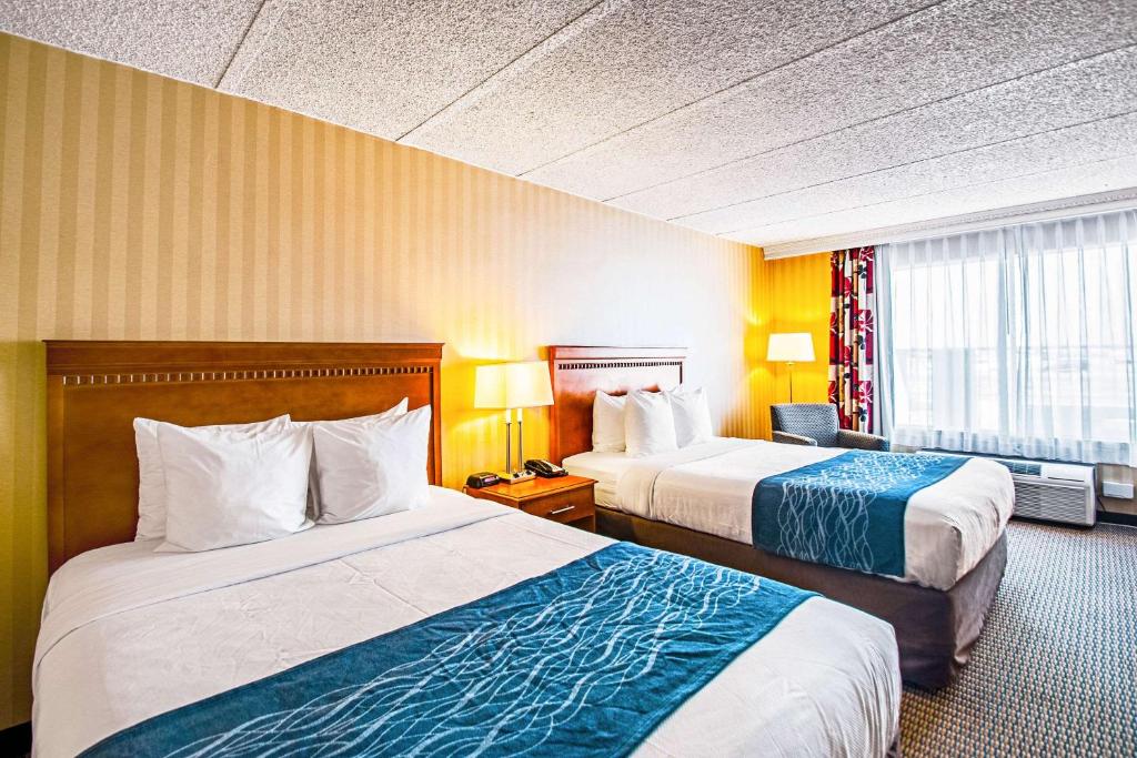 Comfort Inn Arlington Boulevard - image 3