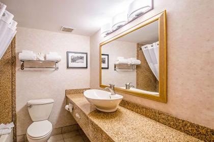 Comfort Inn Arlington Boulevard - image 5