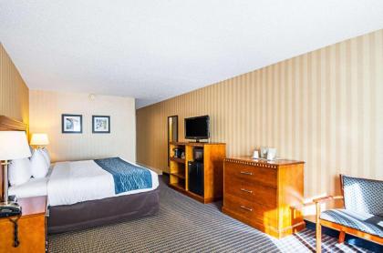 Comfort Inn Arlington Boulevard - image 8