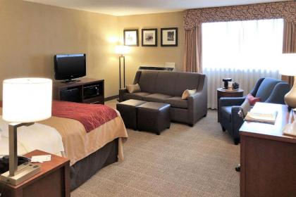 Comfort Inn Farmington Hills - image 10