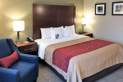 Comfort Inn Farmington Hills - image 5