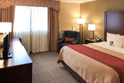 Comfort Inn Farmington Hills - image 8