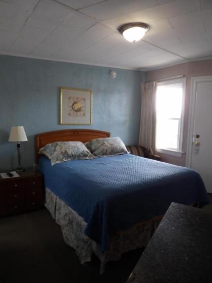 Mount Blue Motel - image 11