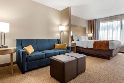 Comfort Inn & Suites Farmington - Victor - image 10