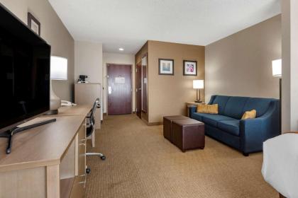 Comfort Inn & Suites Farmington - Victor - image 12