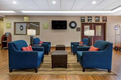 Comfort Inn & Suites Farmington - Victor - image 15