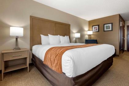 Comfort Inn & Suites Farmington - Victor - image 3