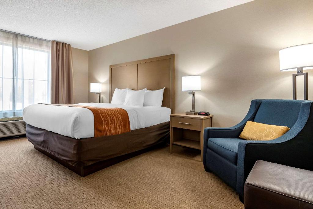 Comfort Inn & Suites Farmington - Victor - image 5