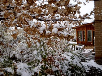 Silver River Adobe Inn Bed and Breakfast - image 3