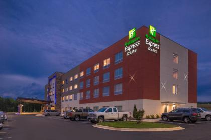 Holiday Inn Express & Suites Farmville an IHG Hotel - image 5