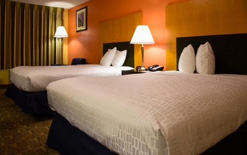 SureStay Plus Hotel by Best Western Fayetteville - image 2