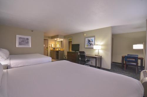 Holiday Inn Express & Suites Fayetteville University of Arkansas Area an IHG Hotel - image 5