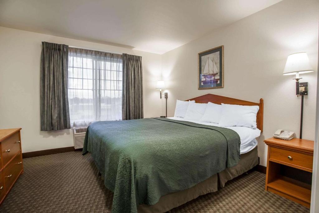 Quality Inn & Suites Federal Way - Seattle - image 6