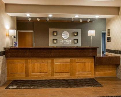 Comfort Inn & Suites Fenton - image 2