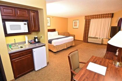 Holiday Inn Express Hotel & Suites Fenton/I-44 an IHG Hotel - image 16