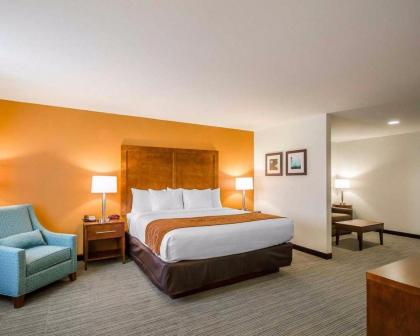 Comfort Inn - image 2