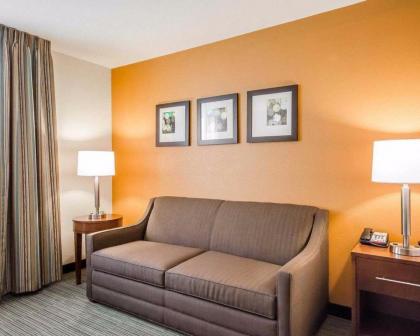 Comfort Inn - image 9