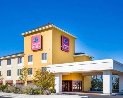 Comfort Suites Fernley Fernley Nevada