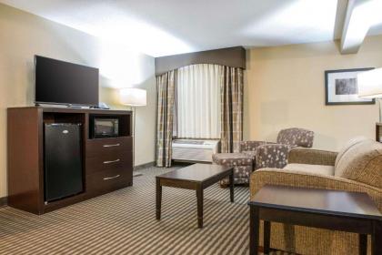 Quality Inn Festus - image 10