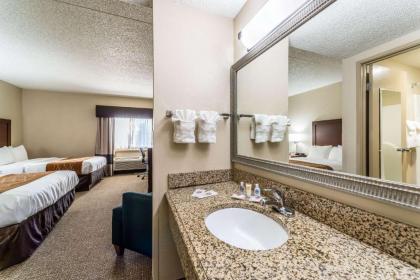 Comfort Inn Festus-St Louis South - image 10