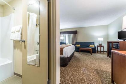 Comfort Inn Festus-St Louis South - image 14