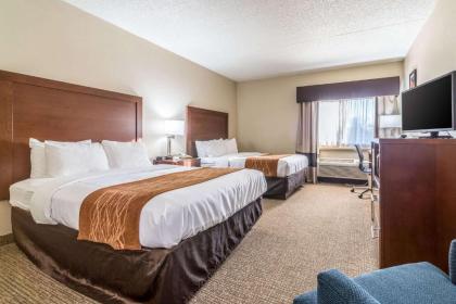 Comfort Inn Festus-St Louis South - image 15