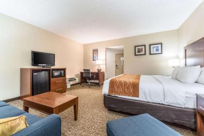 Comfort Inn Festus-St Louis South - image 6