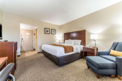 Comfort Inn Festus-St Louis South - image 7