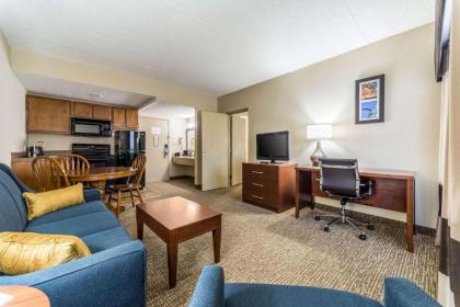 Comfort Inn Festus-St Louis South - image 8