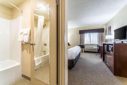 Comfort Inn Festus-St Louis South - image 9