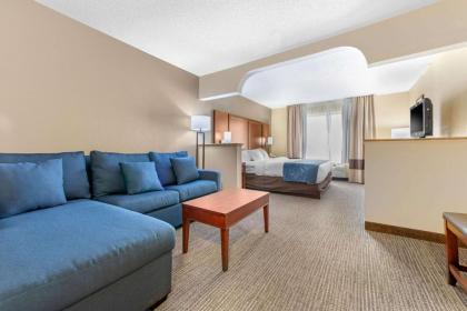 Comfort Suites Findlay I-75 - image 3