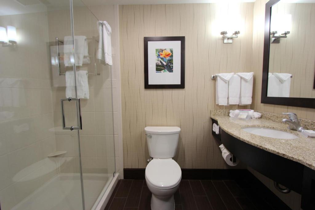 Hilton Garden Inn Findlay - image 4