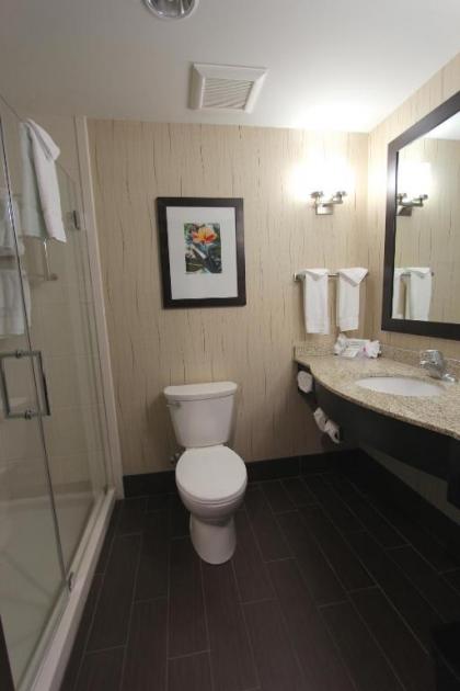 Hilton Garden Inn Findlay - image 6