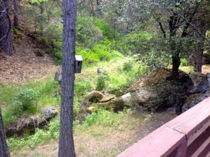 Yosemite Creekside Birdhouse - image 3