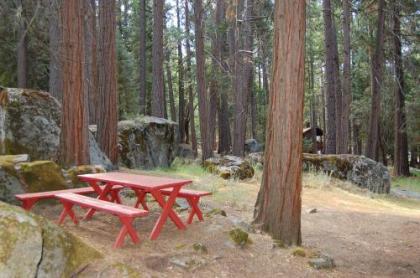 Chalets in Fish Camp California