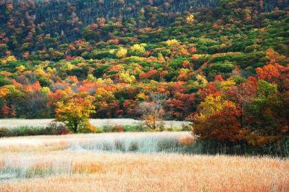 Hyatt House Fishkill-Poughkeepsie - image 3