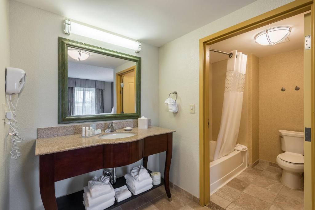 Hampton Inn & Suites Orlando-South Lake Buena Vista - image 5