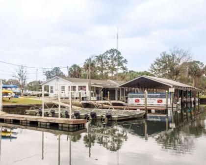 Plantation on Crystal River Ascend Hotel Collection - image 4