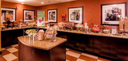 Hampton Inn & Suites Tampa-North - image 4